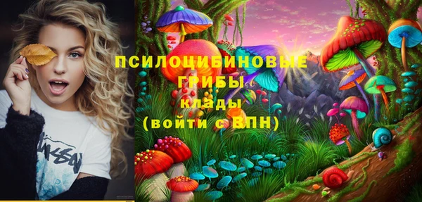 ГАЛЛЮЦИНОГЕННЫЕ ГРИБЫ Нефтекумск