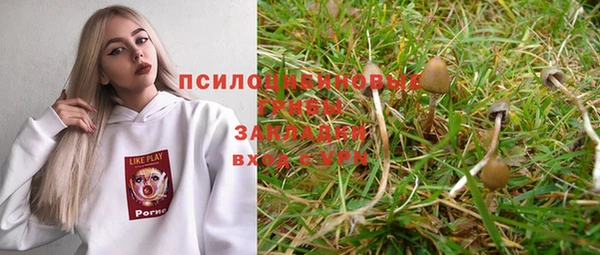 индика Абдулино