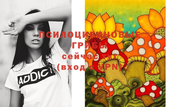 гидра Нея