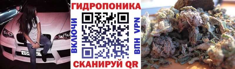 Конопля сатива  Алупка 